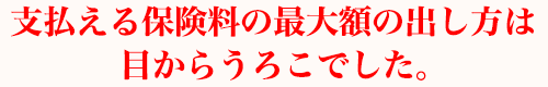 支払える保険料の最大額の出し方は目からうろこでした。
