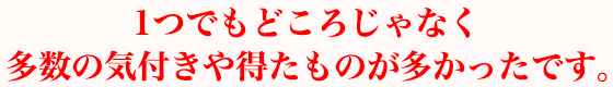 1つでもどころじゃなく多数の気付きや得たものが多かったです。