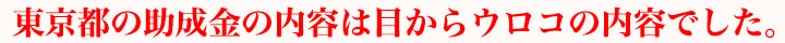 東京都の助成金の内容は目からウロコの内容でした。